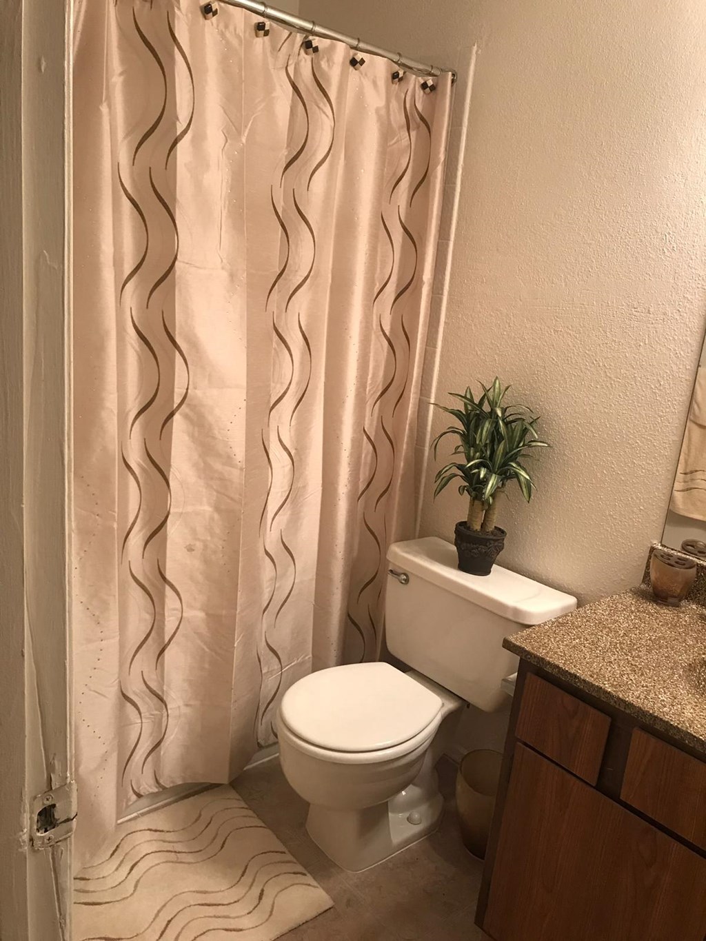 a bathroom with a toilet and a shower curtain