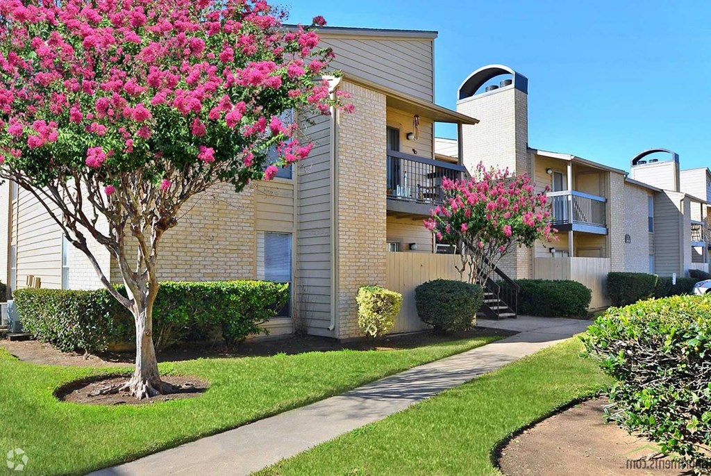 a sidewalk in front of an apartment building with a flowering tree