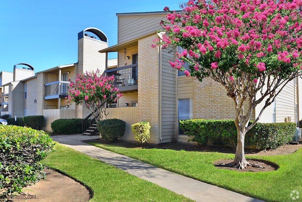 a sidewalk in front of an apartment building with a flowering tree