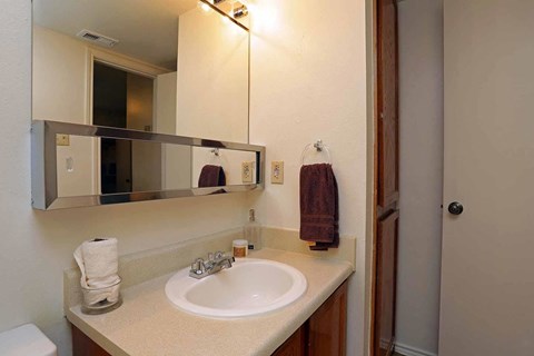 a bathroom with a sink and a mirror