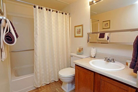 a bathroom with a sink toilet and a shower