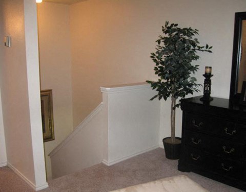 a room with a dresser and a plant