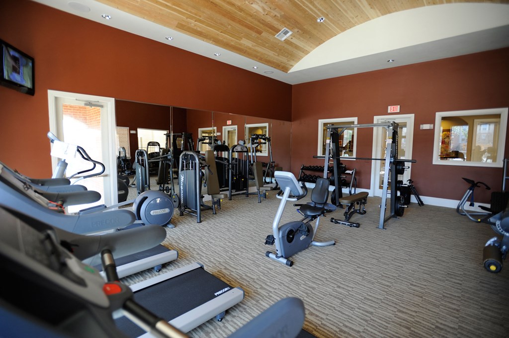 a gym with weights and cardio equipment in a treatment room