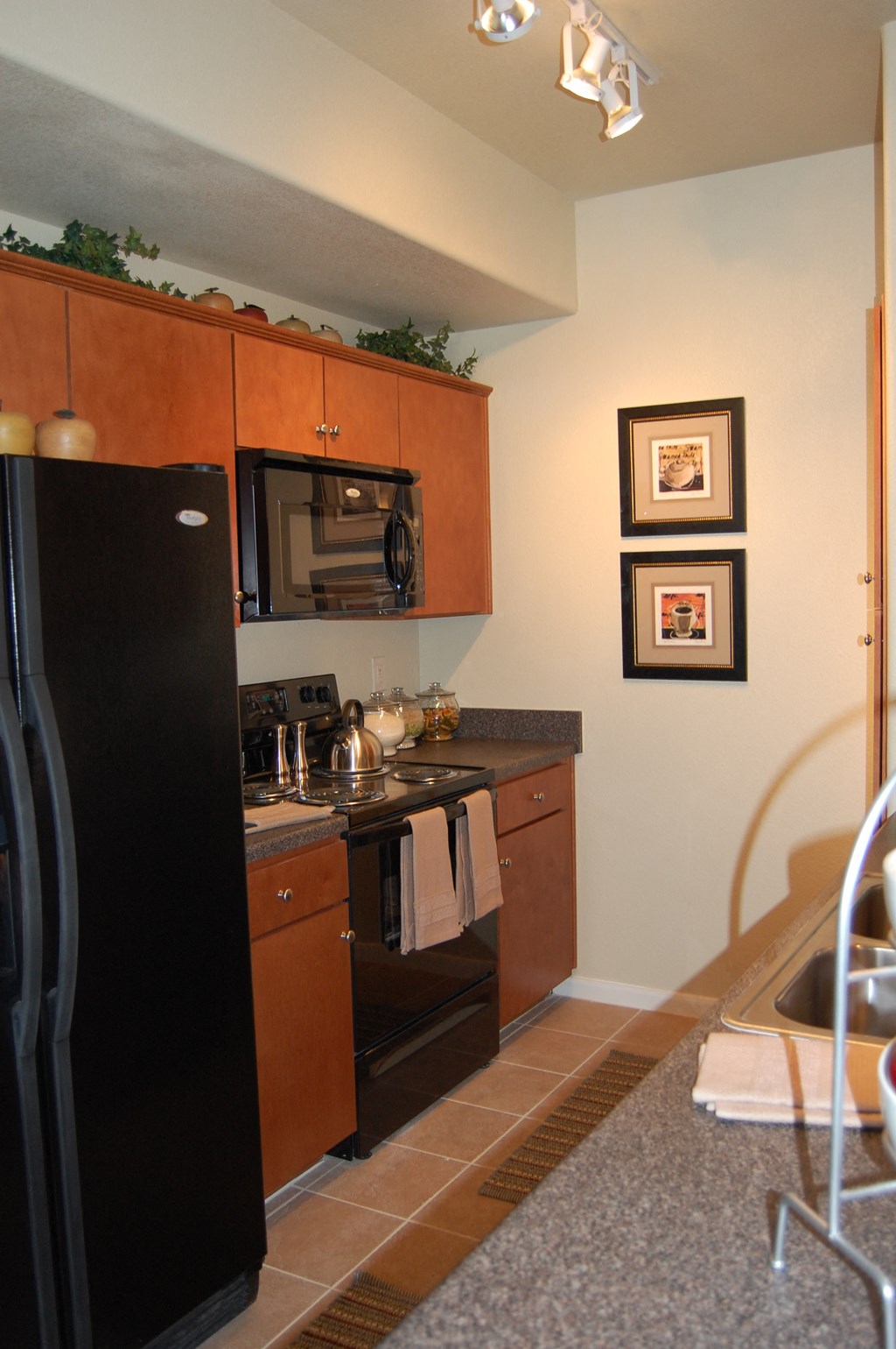 a kitchen with a stove and a refrigerator