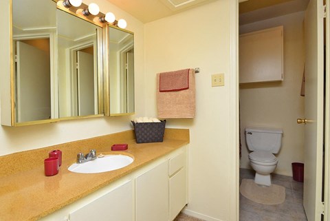 a bathroom with a sink and a toilet