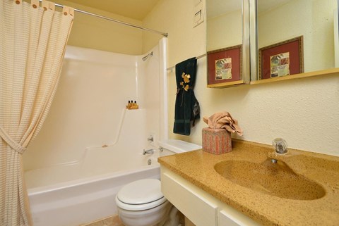 a bathroom with a sink and a toilet and a tub