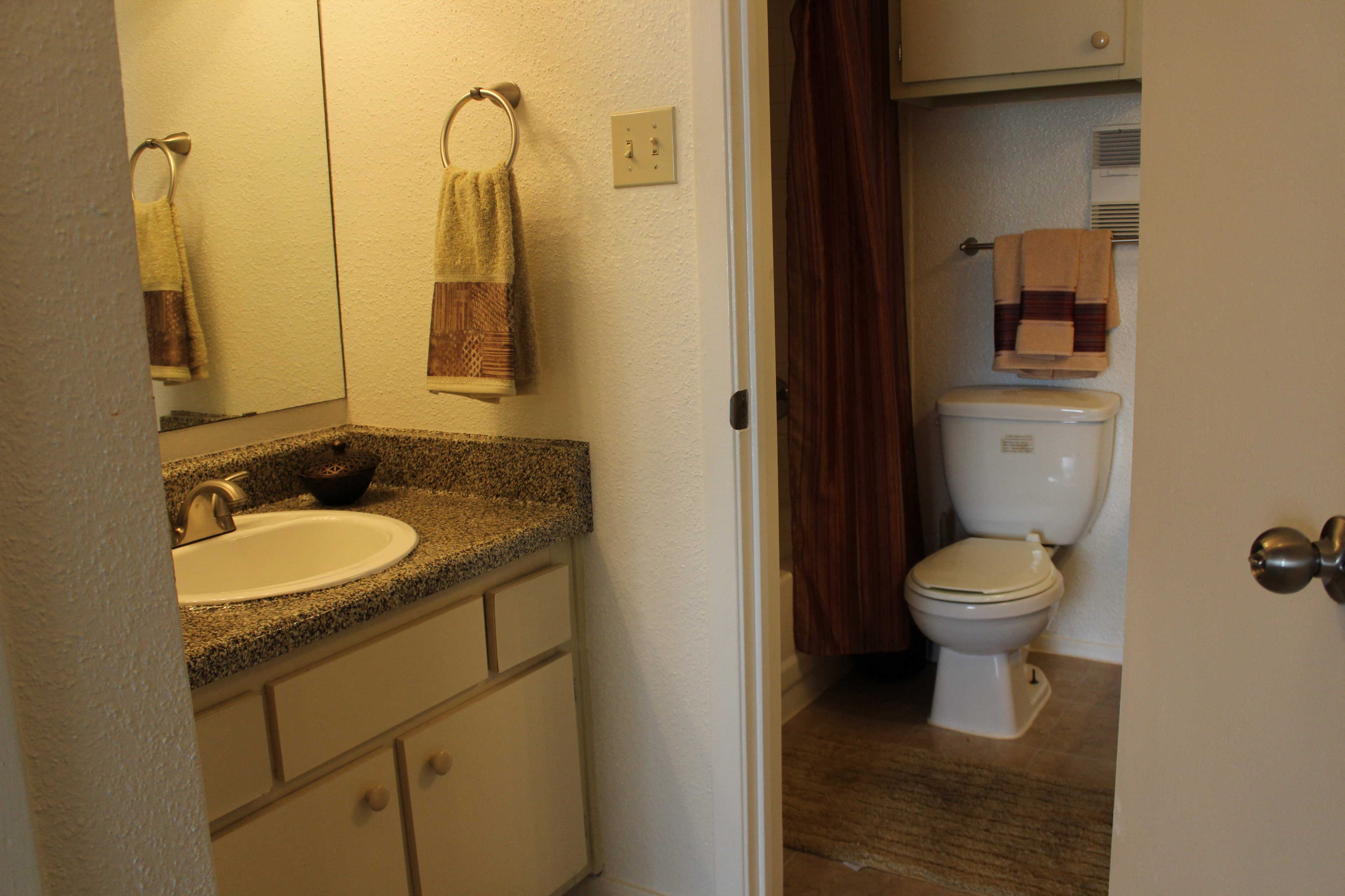 a bathroom with a toilet and a sink and a mirror