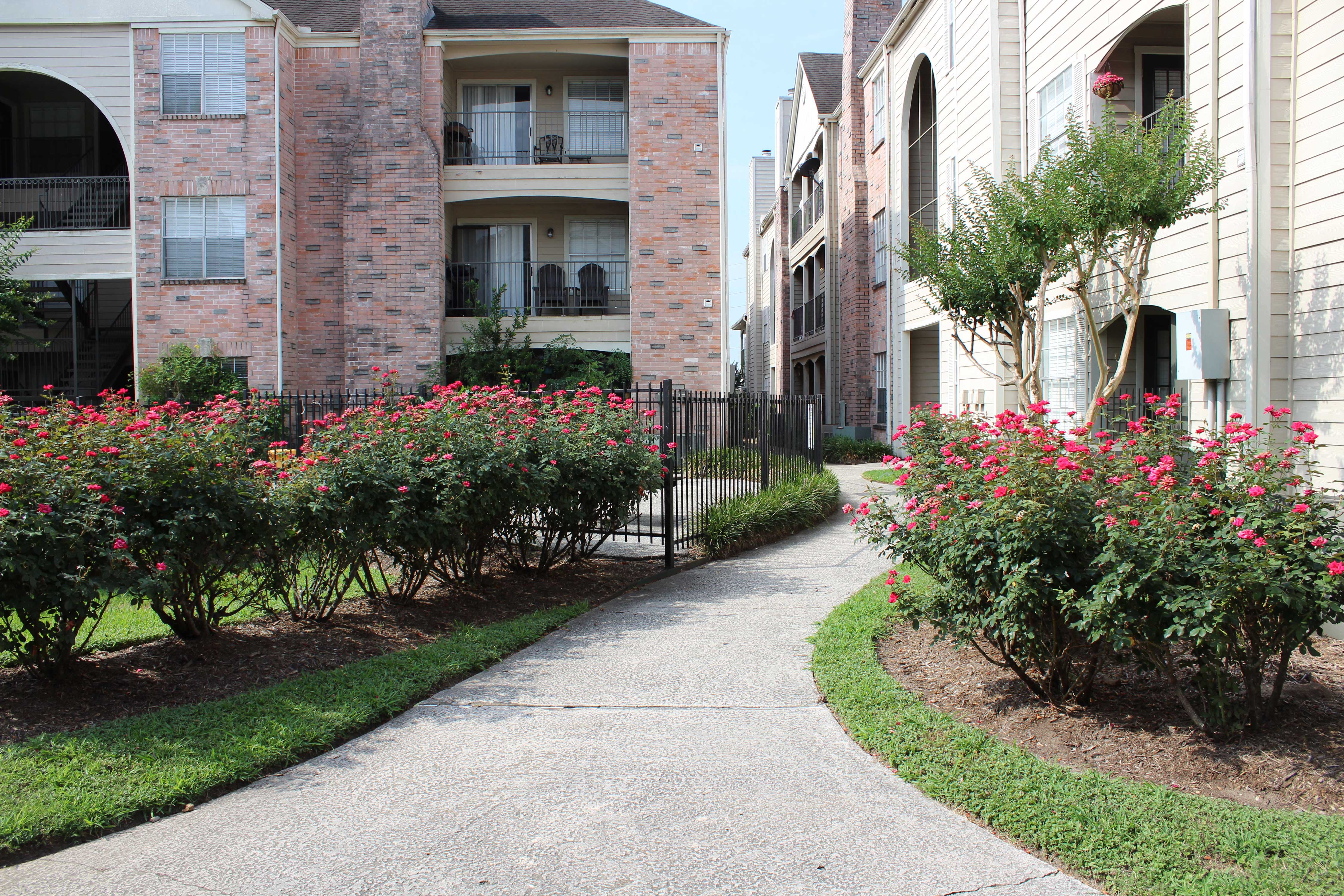 a sidewalk in front of an apartment building with pink flowers