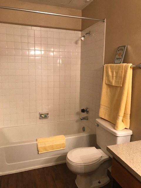 a bathroom with a toilet and a bath tub