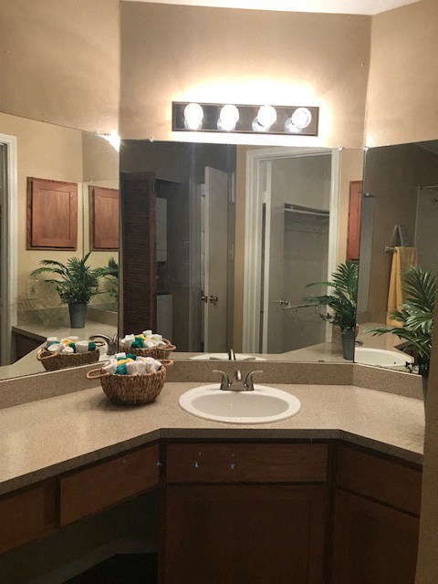 a bathroom with a sink and a mirror