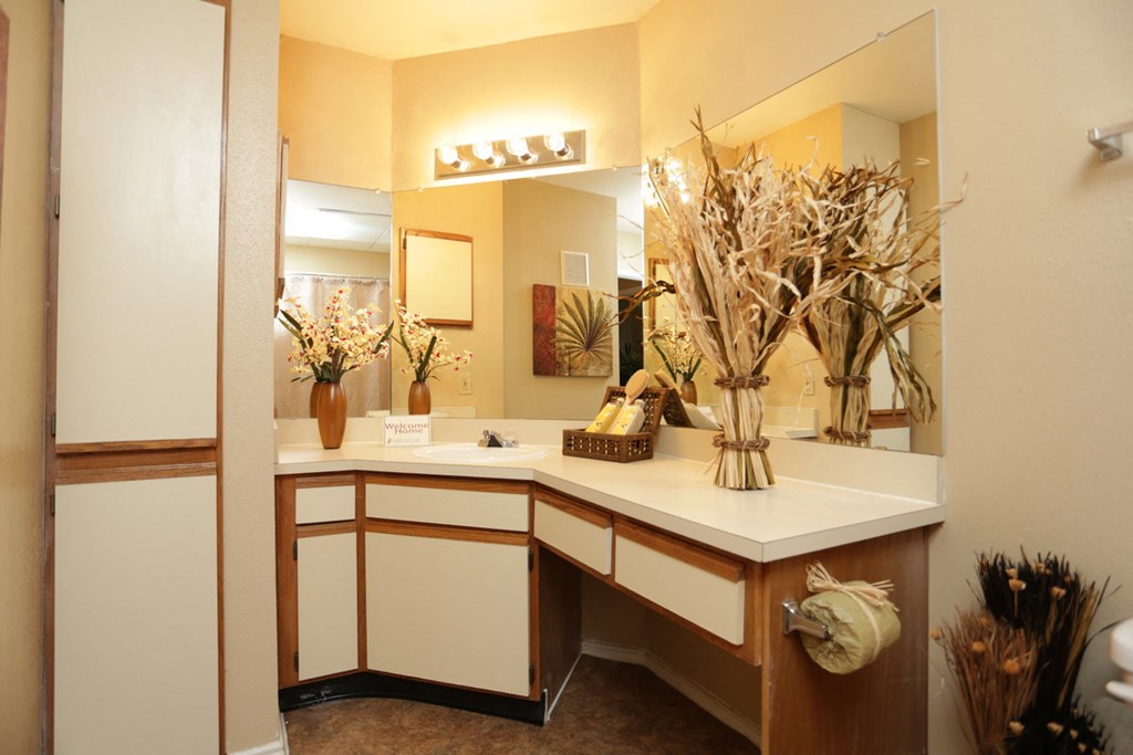a bathroom with a sink and a mirror