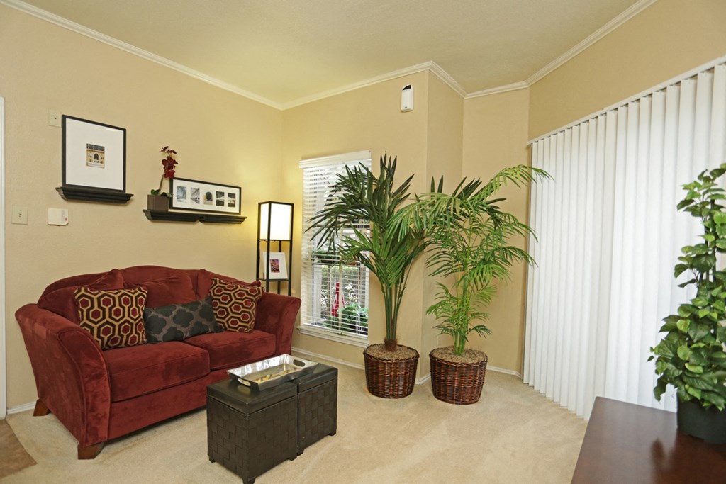 a living room with a couch and some plants