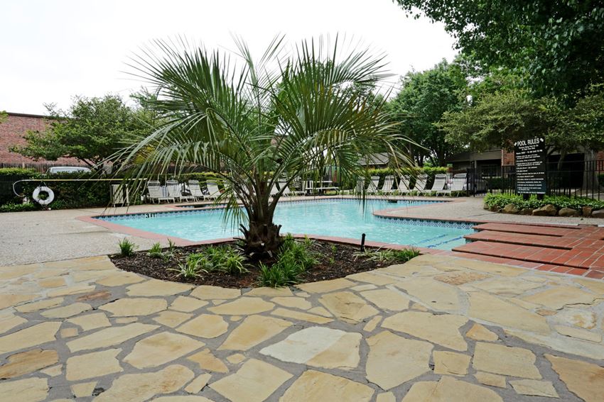 a large swimming pool with a palm tree in the middle