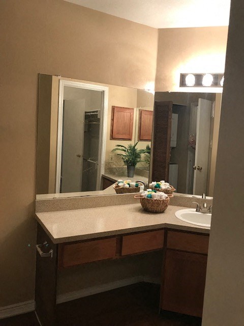 a bathroom with a sink and a mirror