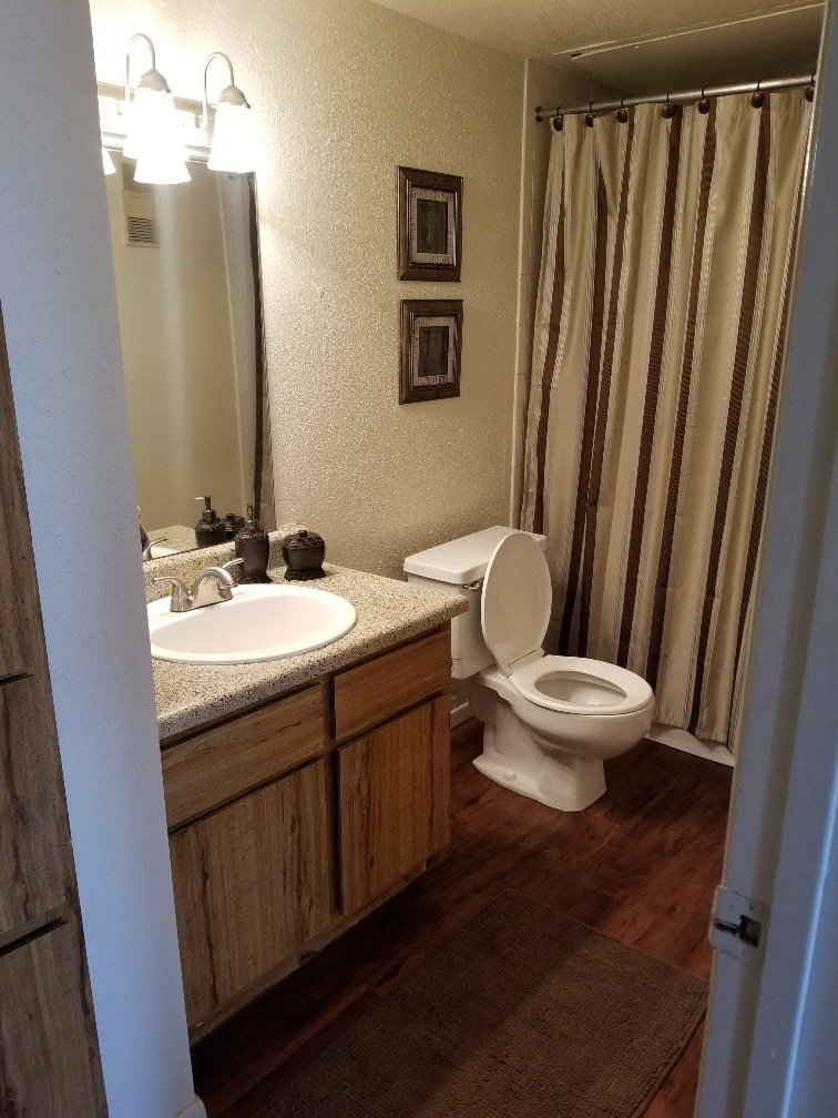 a bathroom with a toilet and a sink and a shower