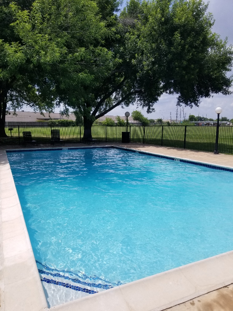 a swimming pool with trees and a fence around it