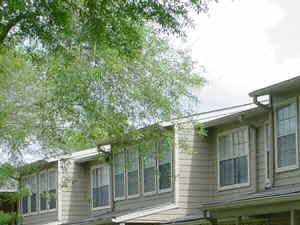 550 Stafford Run 1-2 Beds Apartment for Rent - Photo Gallery 6