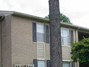 550 Stafford Run 1-2 Beds Apartment for Rent - Photo Gallery 5