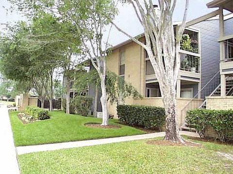 a group of trees in front of an apartment building
