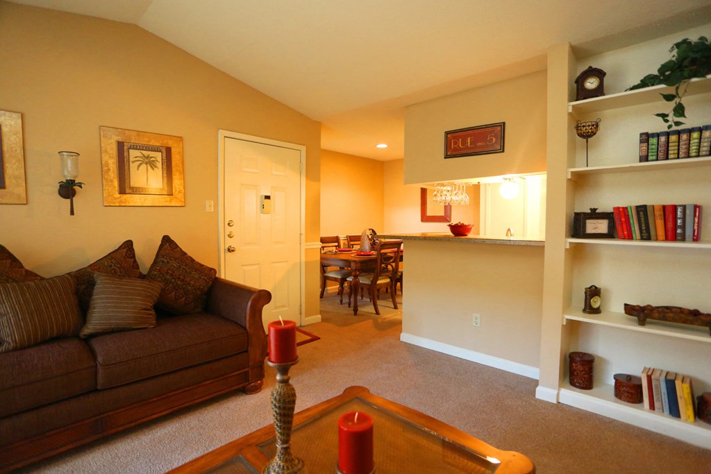 a living room with a couch and a book shelf