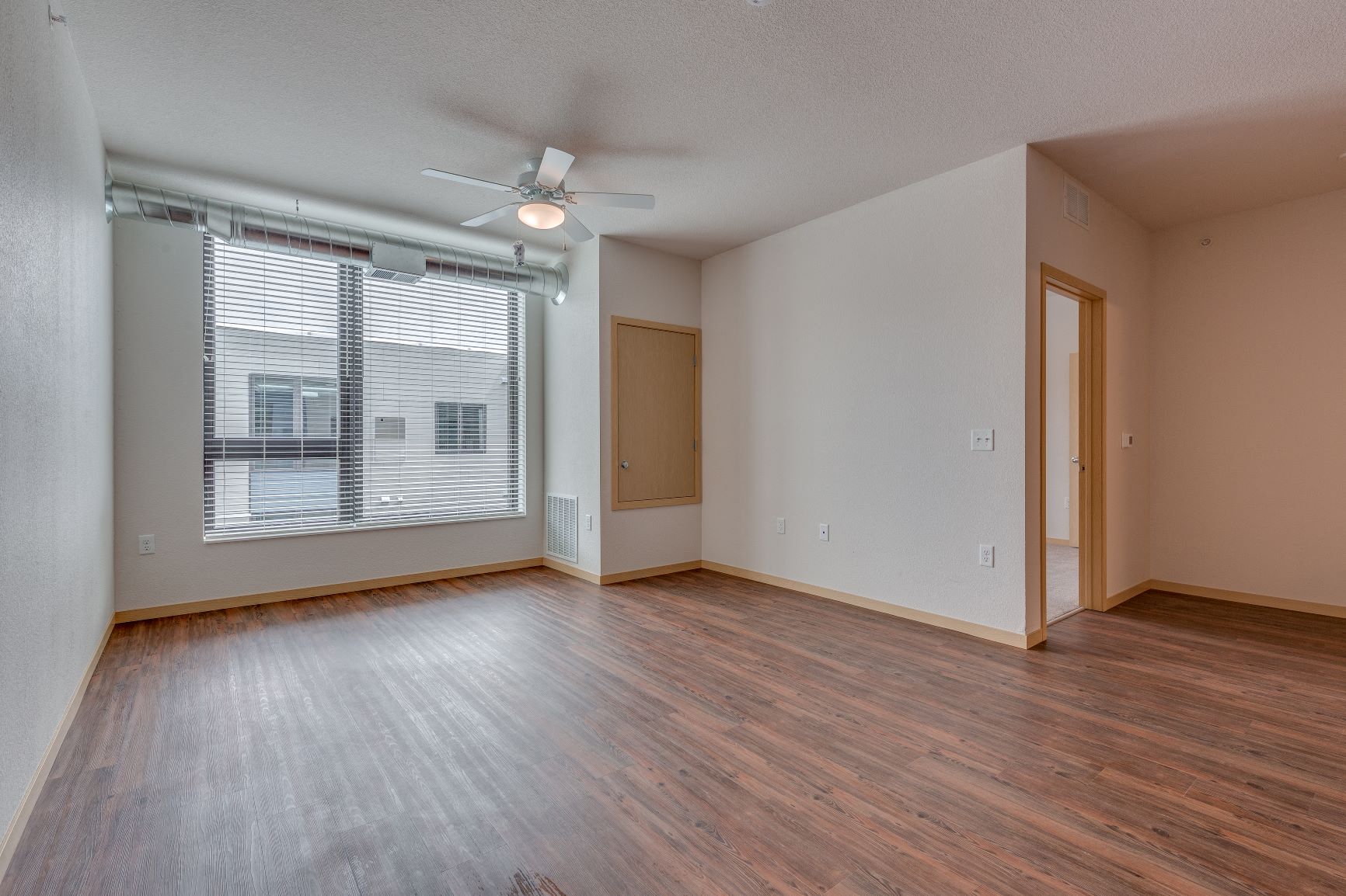 Living Room & Windows
