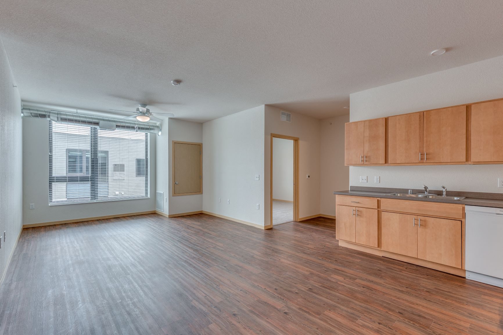 Kitchen & Living Room