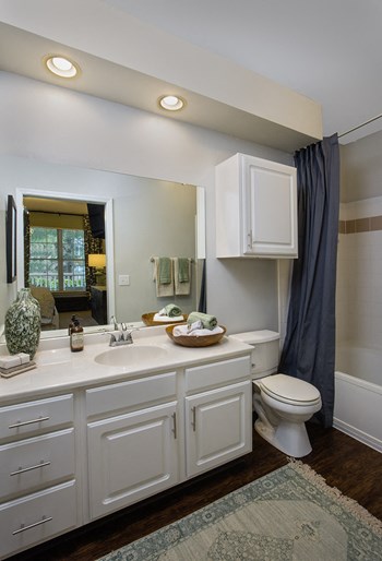5702 Castle Hill Drive 1-3 Beds Apartment for Rent - Photo Gallery 12