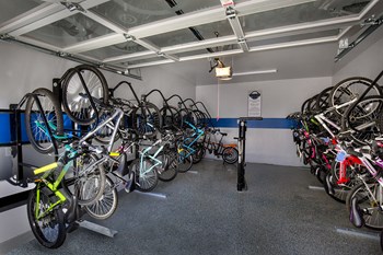 Lake Clearwater bike hub 2 - Photo Gallery 43