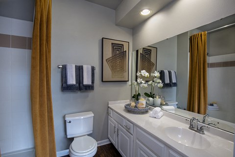 Indianapolis Lake Clearwater Apartments bathroom with large vanity