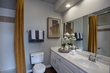 Lake Clearwater bathroom 2 - Photo Gallery 27