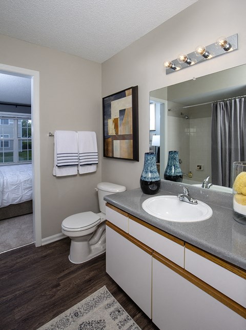 Indianapolis The Lakes Apartments bathroom with large vanity