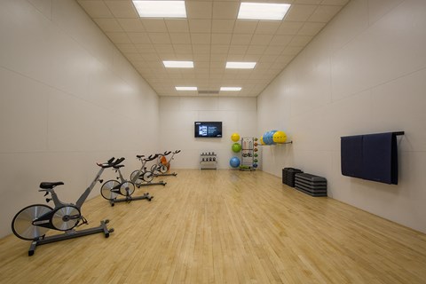 Willow Lake Apartments