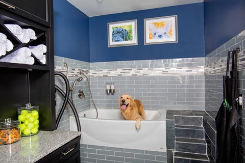 Willow Lake Apartments