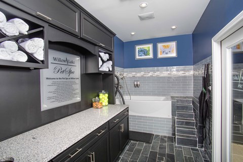 Willow Lake Apartments