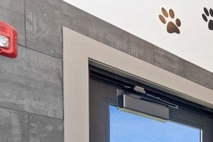 Gorgeous Paw Spa for the four-legged residents