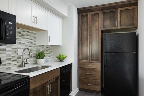 a kitchen with a black refrigerator and a sink