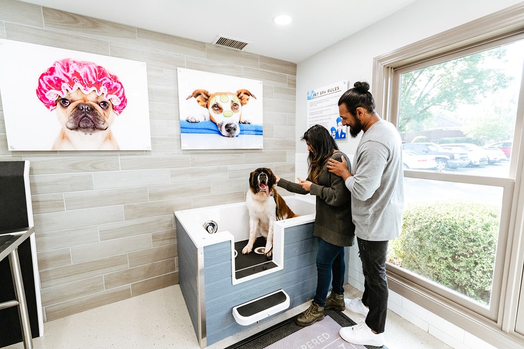 The Willows Apartments Louisville The Pampered Paw pet spa