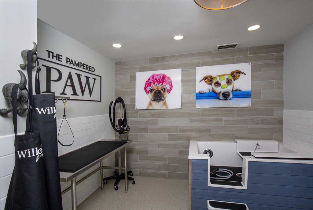 The Willows Apartments Louisville The Pampered Paw pet spa