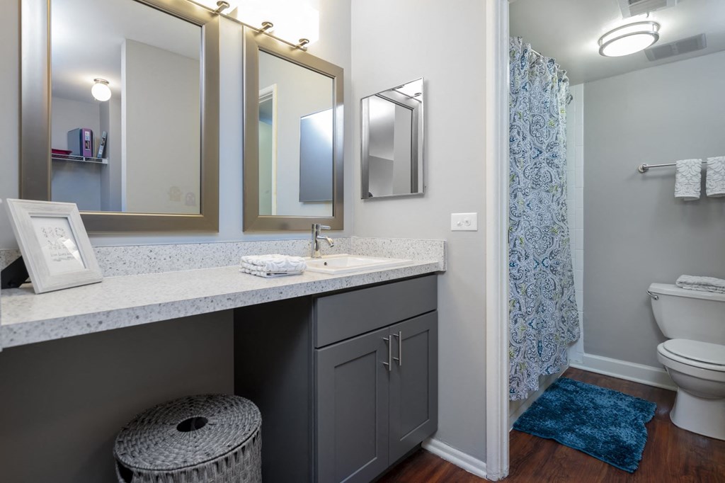a bathroom with a sink and a toilet and a shower