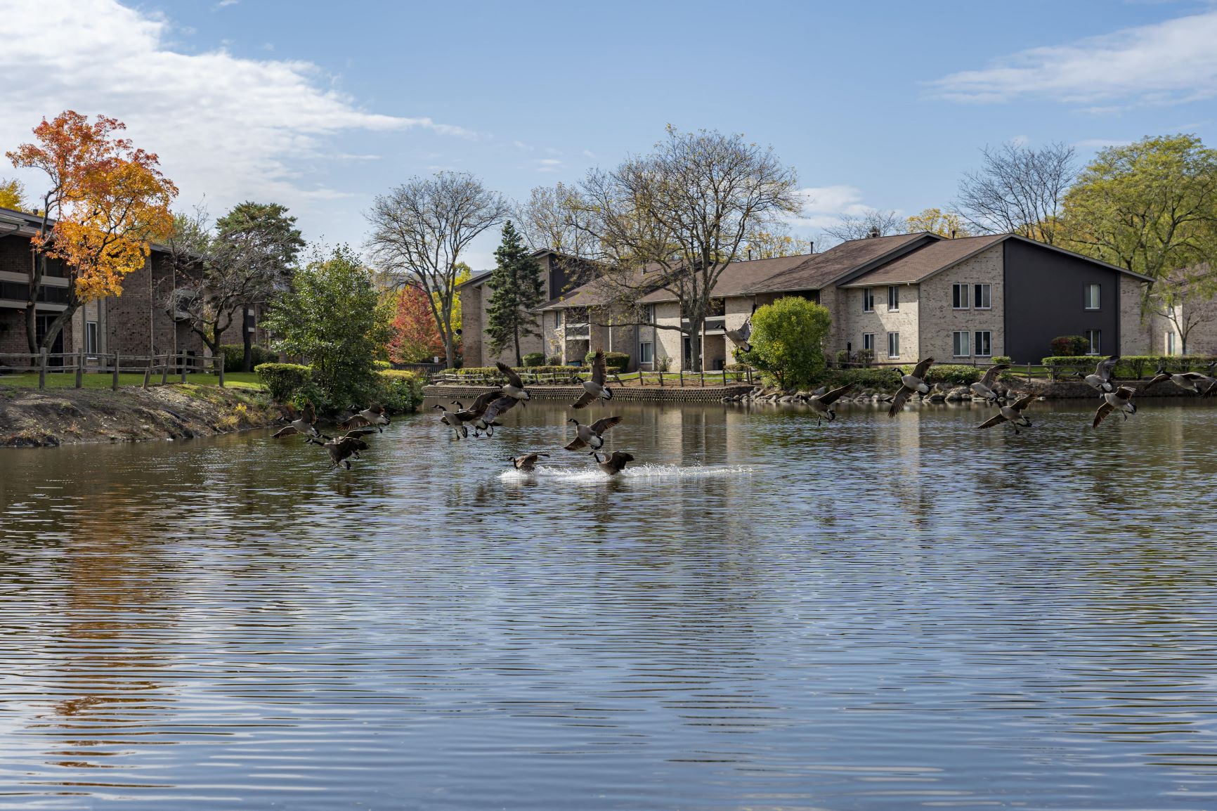 a group of geese flying over a lake in front of a house