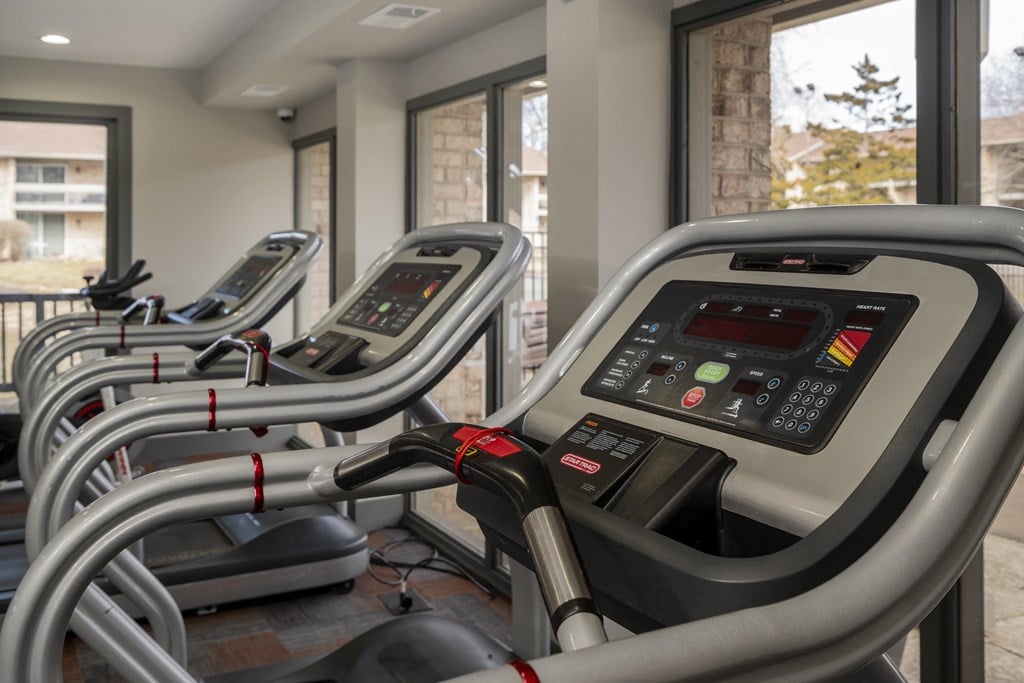 a row of cardio machines in a gym