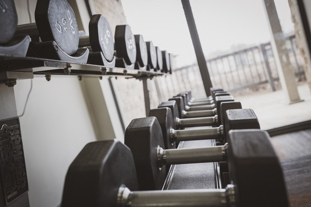 a row of dumbbells in a gym