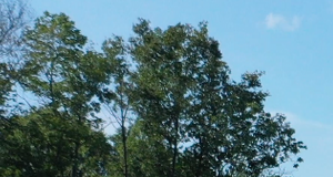 Villas at Mallard Creek | Apartments in Charlotte, NC