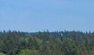 Bainbridge Island Wa Apartments For Rent Rentcafé 259 Ferncliff Ave Ne Studio 3 Beds Apartment For Rent Photo Gallery 1
