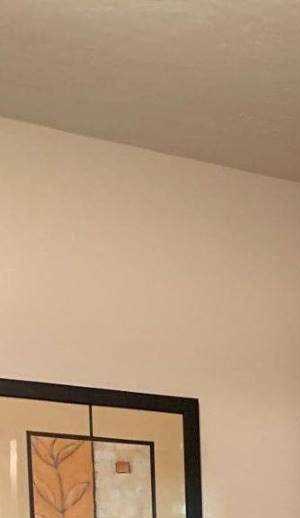 749 Green Tree Circle 1-2 Beds Apartment for Rent - Photo Gallery 6