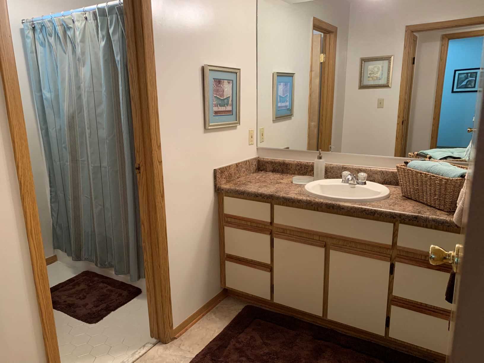 a bathroom with a sink and a shower and a mirror