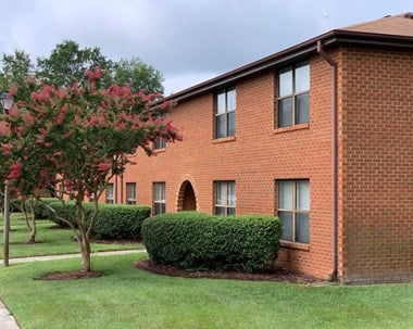 749 Green Tree Circle 1-2 Beds Apartment for Rent Photo Gallery 1