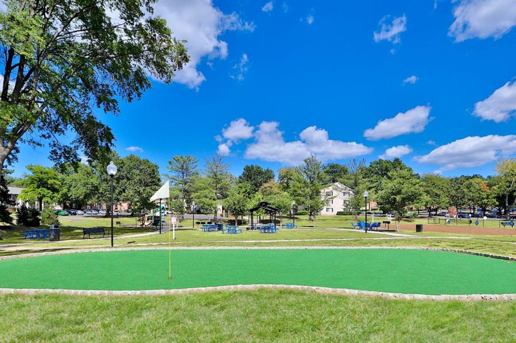 a park with a green field and playground and trees