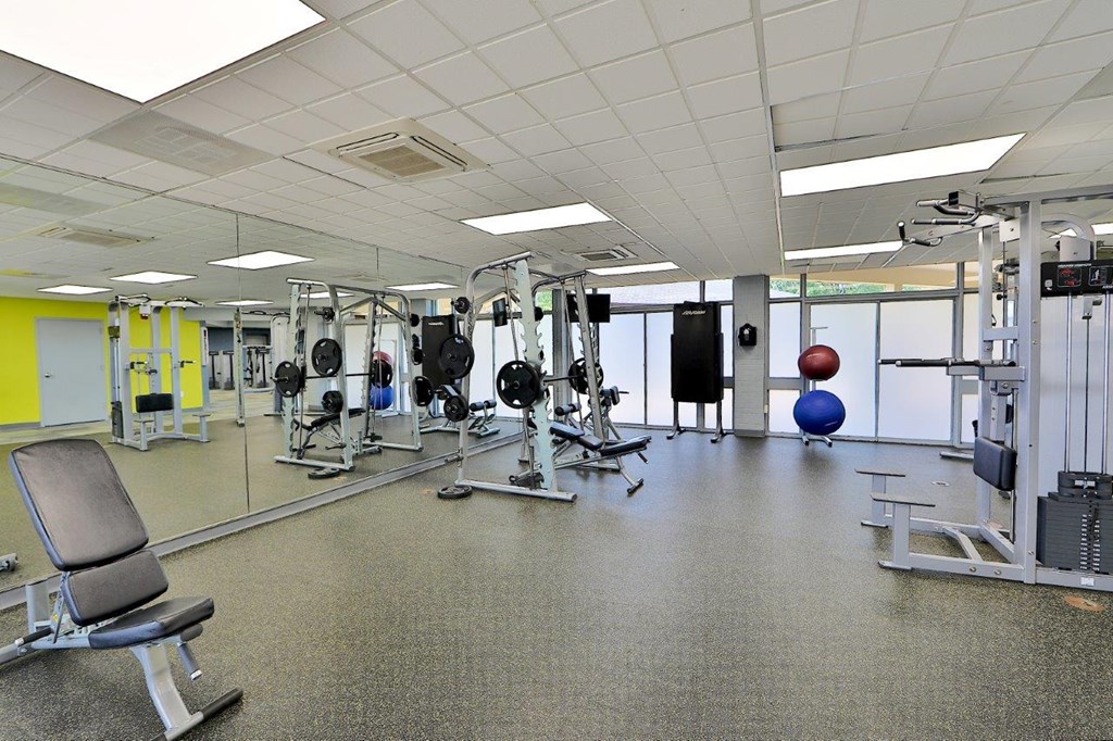 a gym with a lot of weights and cardio equipment