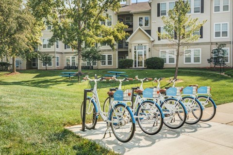 a row of blue bikes parked in front of an apartment building
